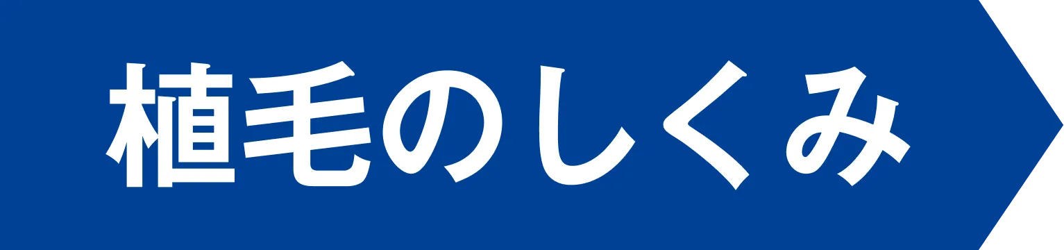 植毛のしくみ